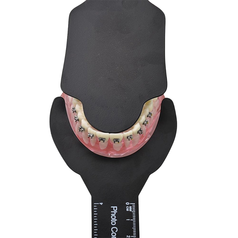 Dental Photography dentistry P - огляд і ціна Photography Dental